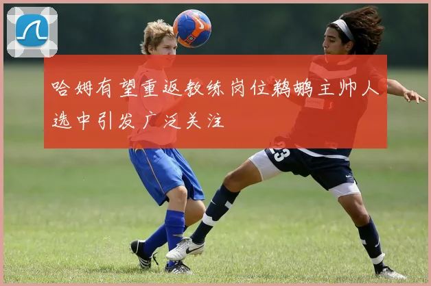 哈姆有望重返教练岗位鹈鹕主帅人选中引发广泛关注