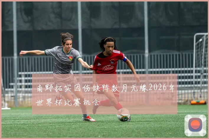 南野拓实因伤缺阵数月无缘2026年世界杯比赛机会